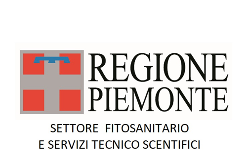 FLAVESCENZA DORATA - Comunicazioni e documentazione 2024 per i comuni viticoli della provincia di Cuneo